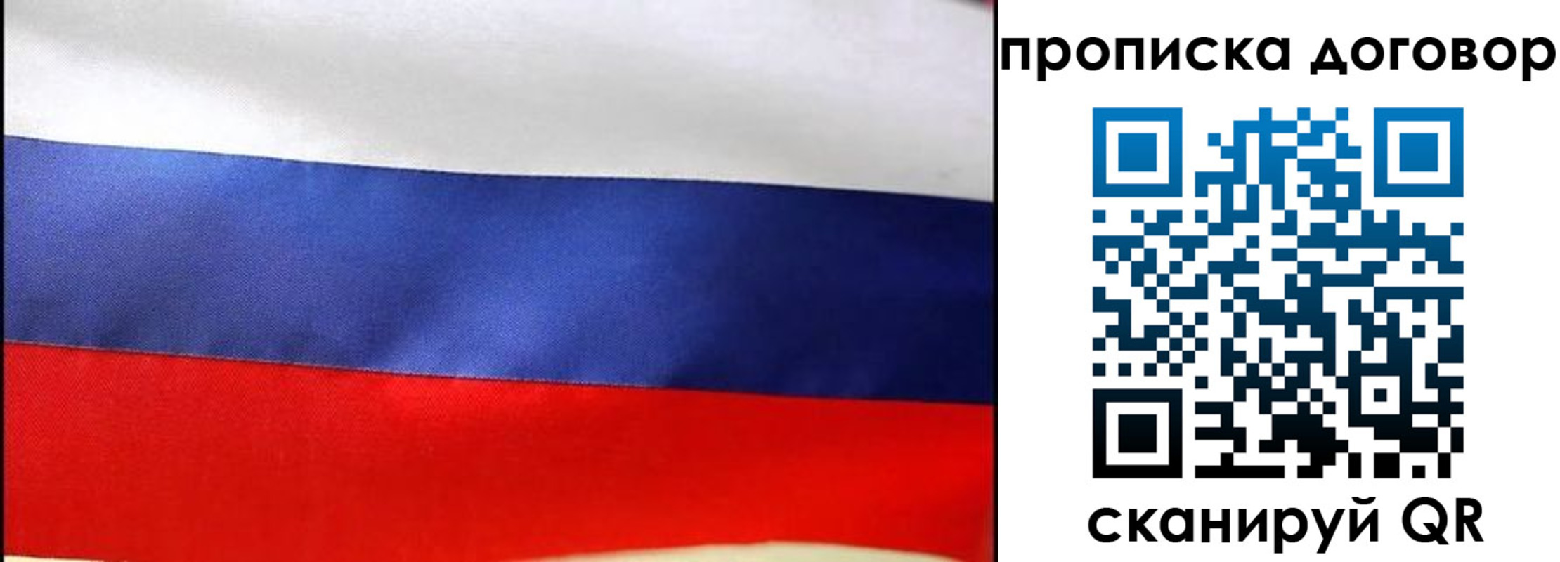 прописка гарантия в Кургане