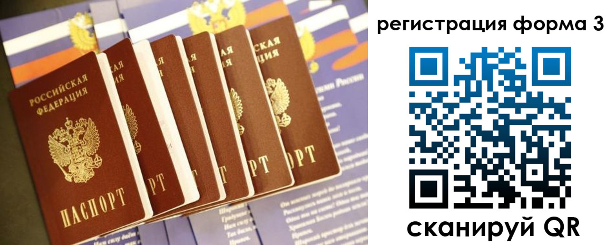 прописка поиск в Кургане